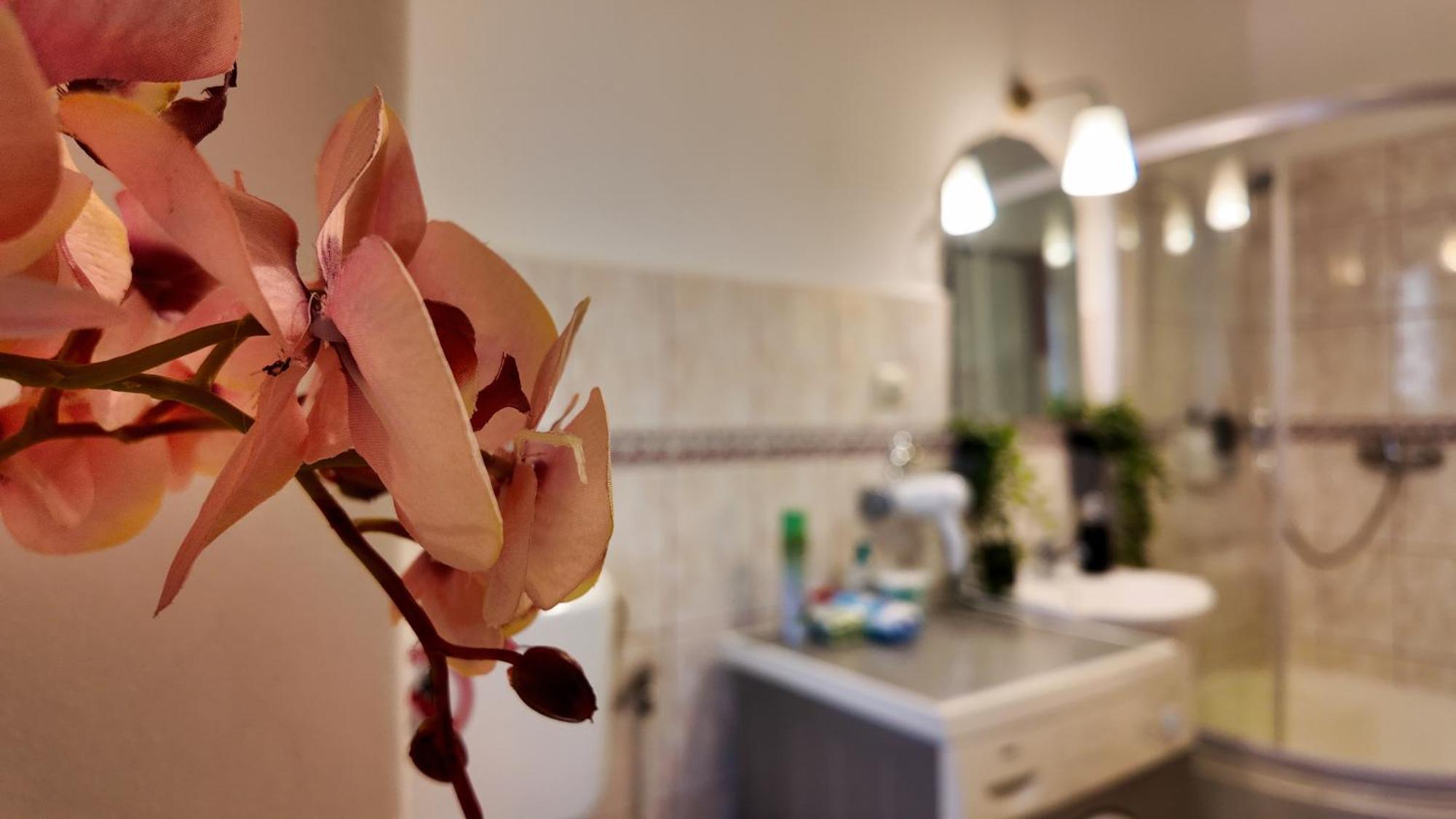 Intimo Oldtown Romantic Apartment براشوف المظهر الخارجي الصورة